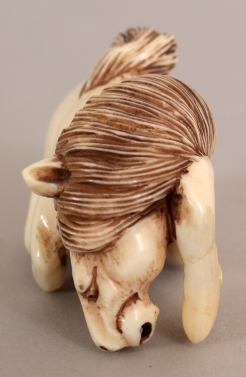 Netzuke carved ivory horse 5